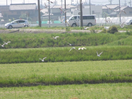画像14